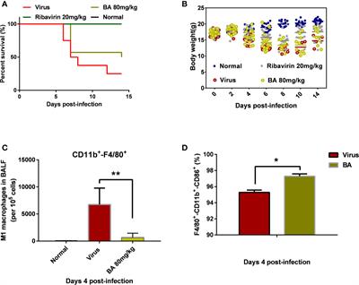 Baicalin Inhibits Influenza A Virus Infection via Promotion of M1 Macrophage Polarization